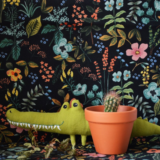 cache_cache_crocodile